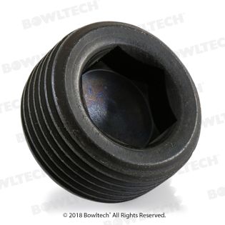 BR12100359000 MAGNETIC PLUG