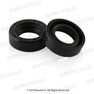 SEALING RING GS11055351000